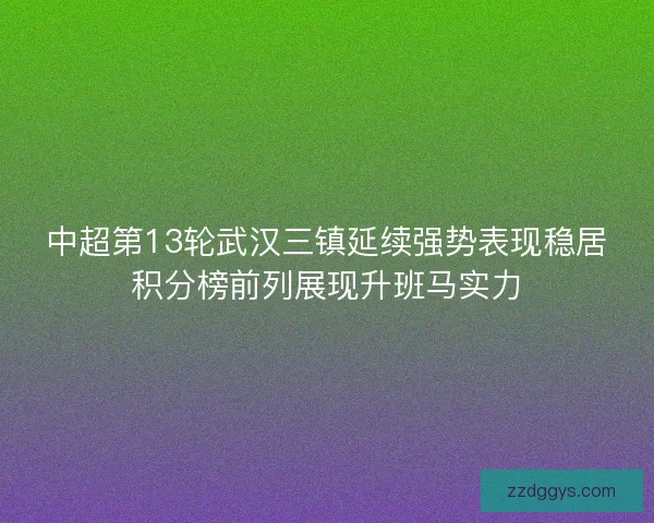 中超第13轮武汉三镇延续强势表现稳居积分榜前列展现升班马实力