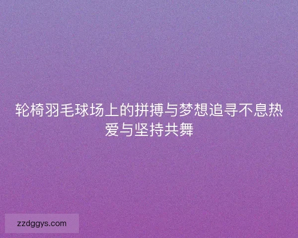 轮椅羽毛球场上的拼搏与梦想追寻不息热爱与坚持共舞