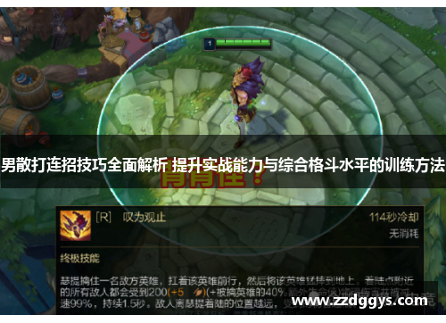 男散打连招技巧全面解析 提升实战能力与综合格斗水平的训练方法